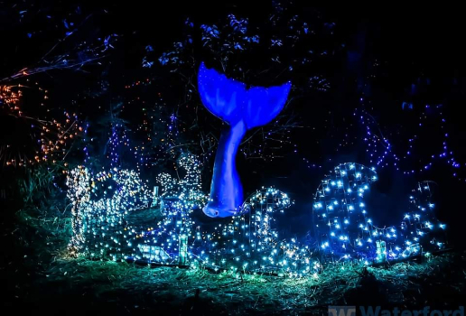 GLOW - powered by Encon